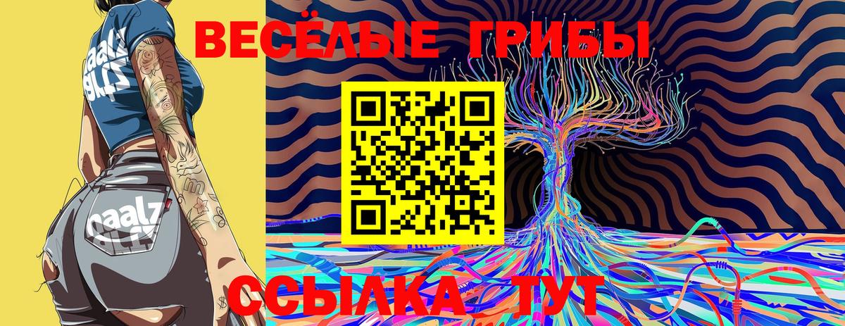 Луховицы  Галлюциногенные грибы Psilocybe  Вход с VPN  Псилоцибиновые грибы прущие грибы 