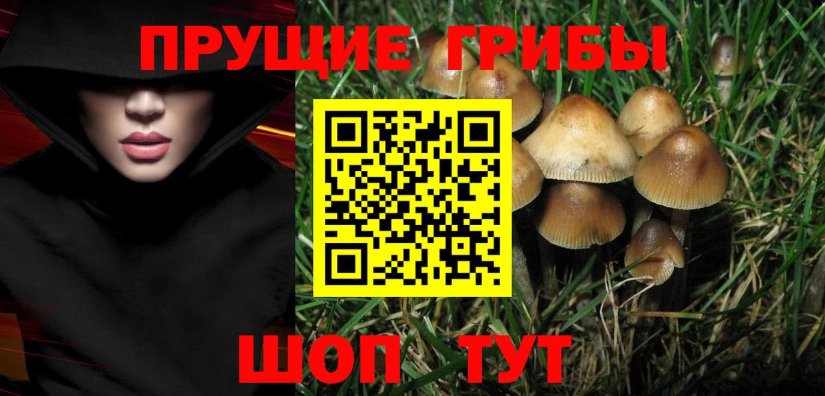 Псилоцибиновые грибы мухоморы Луховицы